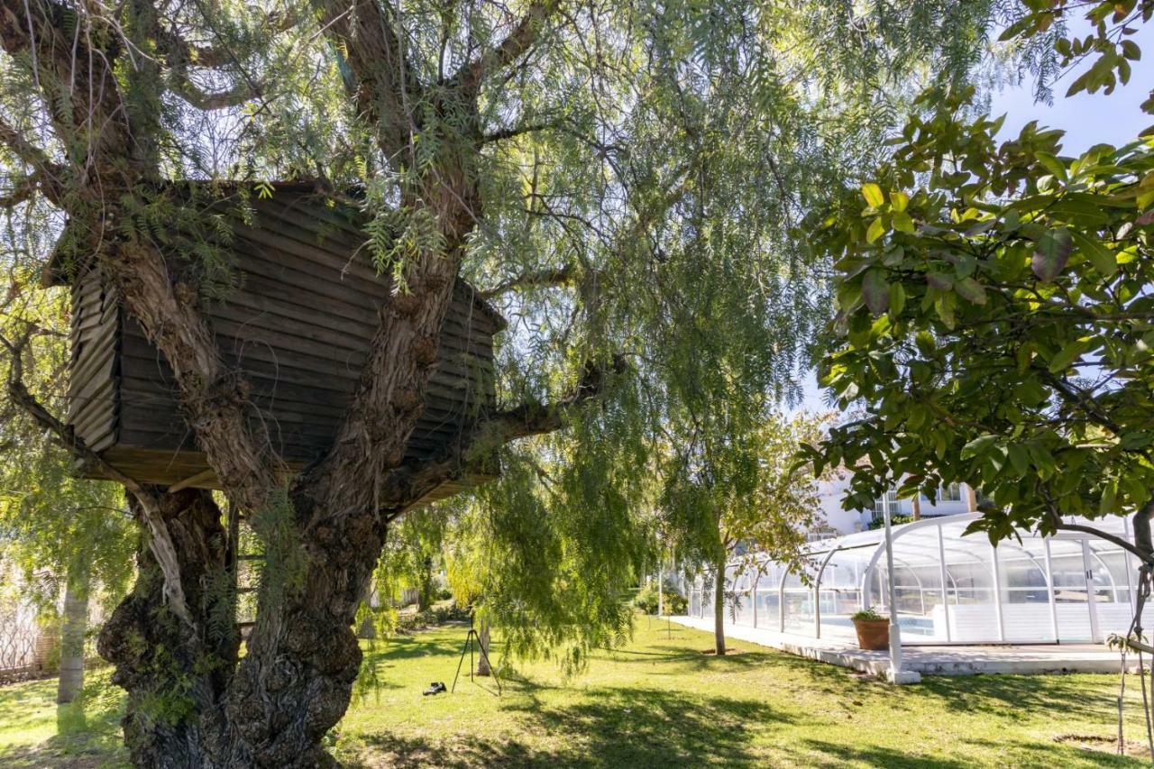 Villa Tocororo En Pinos De Alhaurin อาเลาริน เดลา ตอร์เร ภายนอก รูปภาพ